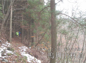 2008.秋OFF報告鳴川山林道（奈良県）(by nagajis）