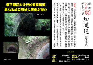 隧道レッドデータブック（34）畑隧道（埼玉県）