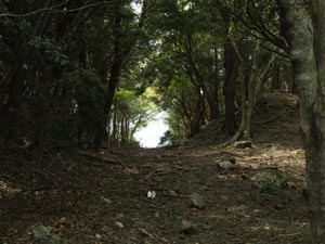 野又峠（第二部）