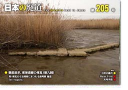 第205号