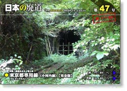 第47号