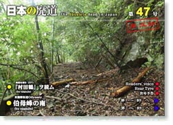 第47号